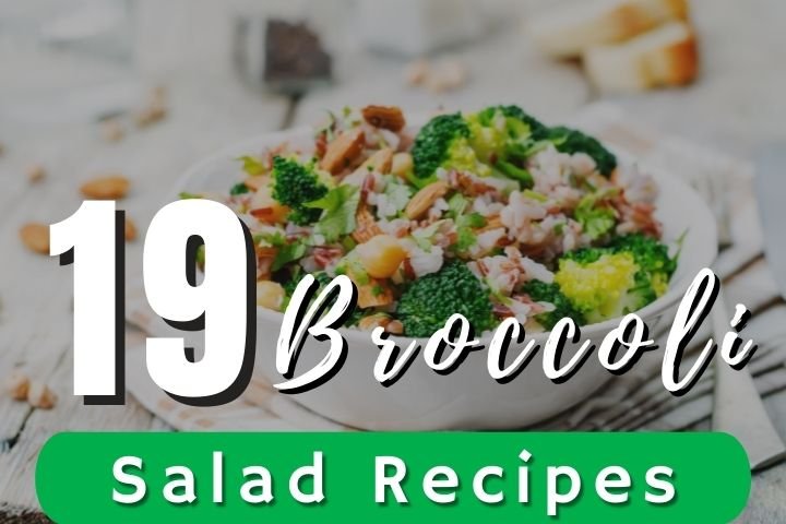 19 Best Broccoli Salad Recipes - Ak Pal Kitchen