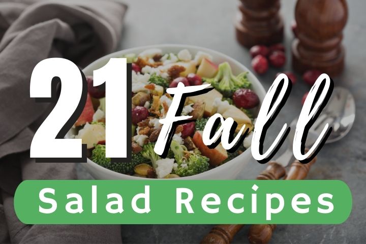 fall-salad-recipes