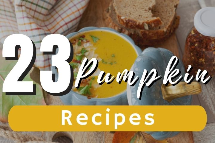 pumpkin-recipes