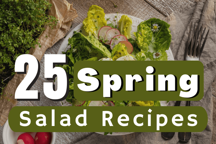 spring-salad-recipes