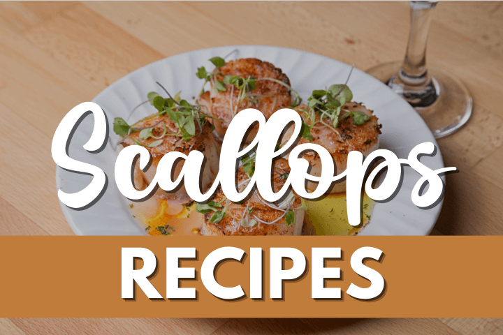 scallops-recipe